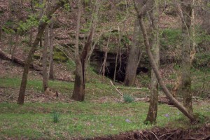 Winters Cave on Wessyngton