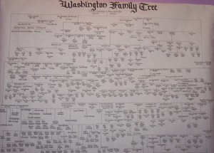 Washington Family Tree