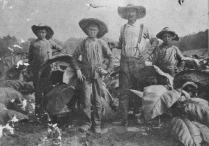 White Sharecroppers on Wessyngton Plantation