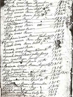Slave Birth Register